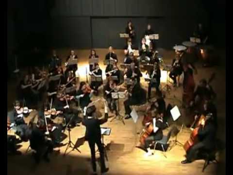 VAUSO 2009 Joseph Haydn: (2) Symfoni nr. 100 i G-dur (Militærsymfonien), 2. sats: Allegretto