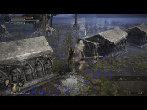 ELDEN RING™ pt 115