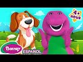Los Perros Son Divertidos Mascotas Para Niños Episodio Completo Barney En Español
