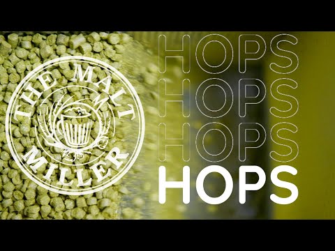 ALL ABOUT HOPS | THE MALT MILLER