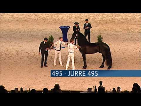 Hengstenkeuring 2017 – Rubriek 09