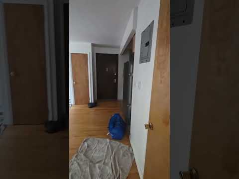 video 1