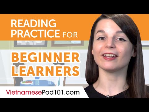 Vietnamese Reading Practice for Beginners