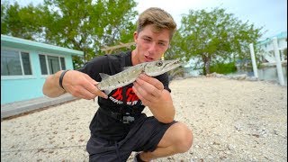 These Little Canal Fish Are VICIOUS
