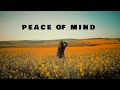 Mauve Peace Of Mind Lyric Video