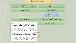 صورة باب الأضحية من عمدة الفقه - عامر بهجت