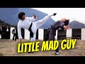 Wu Tang Collection Little Mad Guy