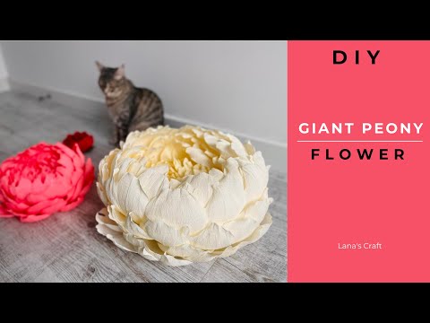 How to make a Giant Peony | Paper flowers | DIY