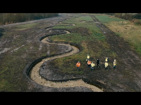 Renaturation du ruisseau de Marcé - trophée national génie écologique 2022