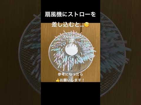 だからこそ、夜は必ず扇風機を止めるべきです