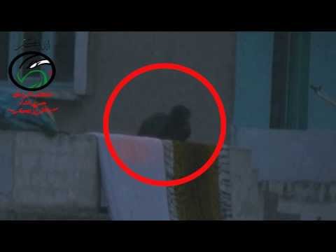 عملية قنص أحد عناصر النظام في مدينة بصرى الشام في ريف درعا من قبل كتائب المرابطين التابعة للواء صقر حوران