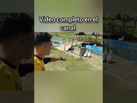 ¿Lograron ver al patico deslizarse? Lugares tranquilos de San José de Las Lajas