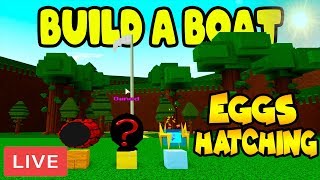 Build A Boat For Treasure Roblox Eggs Th Clip - new egg hatched live build a boat for treasure roblox
