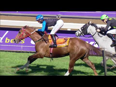 20210829 Hollywoodbets Greyville Race 4 won by FORT WYLIE