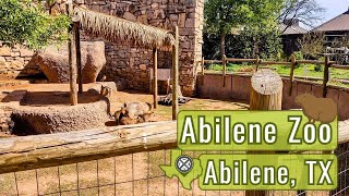 Exploring the Abilene Zoo in Texas