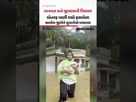 Wayanad: ચોતરફ પાણી વચ્ચે ફસાયેલા અબોલ જીવોને બચાવી લીધા, માનવતા અને જીવદયા દર્શાવતો સુંદર Video Wayanad: ચોતરફ પાણી વચ્ચે ફસાયેલા અબોલ જીવોને બચાવી લીધા, માનવતા અને જીવદયા દર્શાવતો સુંદર Video