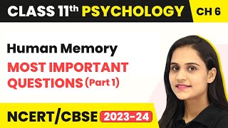 Human Memory - Most Important Questions (Part 1) | Class 11 Psychology Chapter 6 | CBSE 2024-25