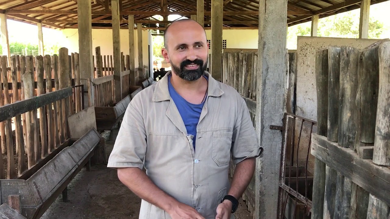 Manejo Reprodutivo de Ovinos