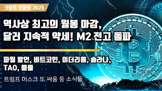 크립토 토마토