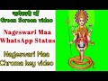 Nageswari Maa Green Screen Nageswari Maa Chroma Key Video Nageswari Maa WhatsApp Status