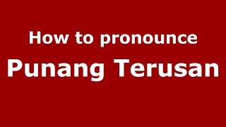 How to pronounce Punang Terusan