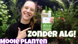 Planten groeien NIET? De BESTE PLANTENVOEDING! Plantengroei BEGRIJPEN //Nickey//