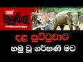 balumgala-04-12-2017