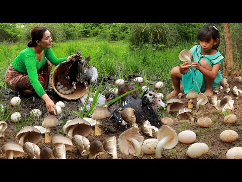 Mushroom with duck egg recipe- Cooking duck spicy soup for dinner +6food for survival in forest