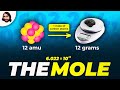 The Mole Avogadro S Number And Stoichiometry