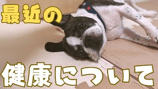 フレブルの健康についてのご報告