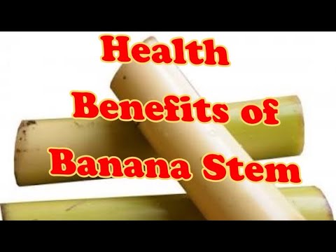 download lagu mp3 mp4 Uses Of Banana Stem Trunk, download lagu Uses Of Banana Stem Trunk gratis, unduh video klip Uses Of Banana Stem Trunk