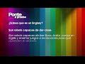 Ponte a prueba
