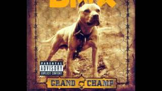 DMX - X Gonna Give It To Ya (w/ lyrics)
