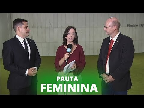 Deputados fazem balanço das aprovações - 28/03/2019
