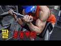 팔운동 예습.복습(팔운동프로그램)