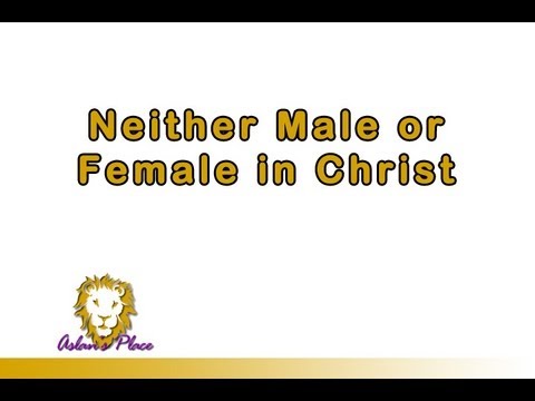 Neither Male or Female in Christ - Brian P. Cox