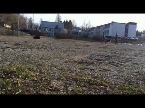 Gote störning (Rednex Vs Psy - Gangnam Eye Joe)