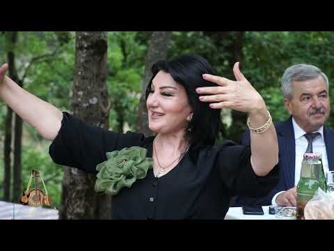 Pervaz Ibrahimli "Qadan mən alim"