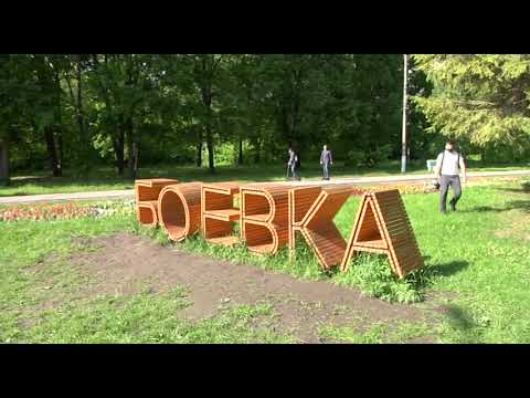 В центре Курска зацветут розы