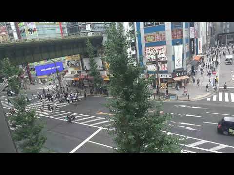 Akihabara District In Tokyo live stream preview image