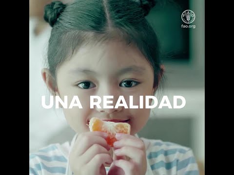 Las escuelas pueden contribuir a hacer del derecho a la alimentación una realidad