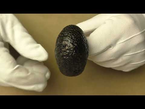 Mastro Geppetto POY 2022 - pipe  223