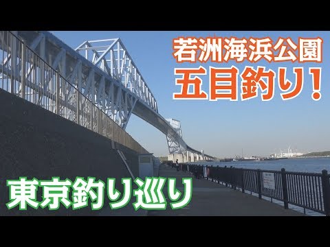 東京湾おすすめ釣りポイント7選！堤防や防波堤など、仕掛けのコツも解説！ | kurashi-no