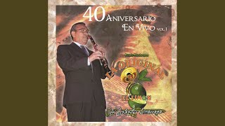 Al Ritmo De La Banda