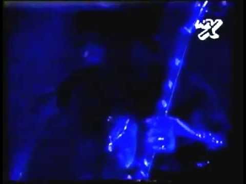 Slash's Snakepit - Buenos Aires 1995 [FULL SHOW] - RARE