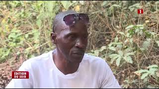 Paix en Casamance | du maquis à l’état civil