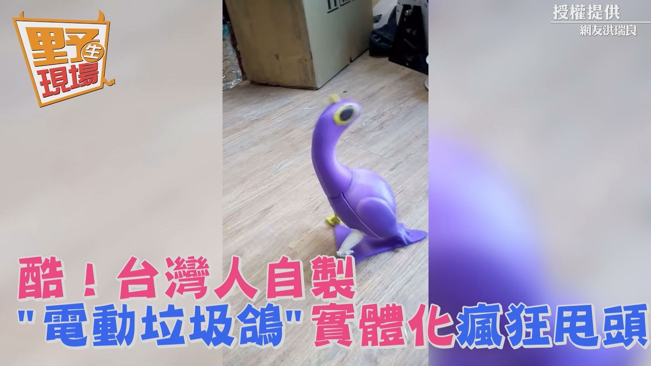 酷！台灣人自製「電動垃圾鴿」　實體化瘋狂甩頭