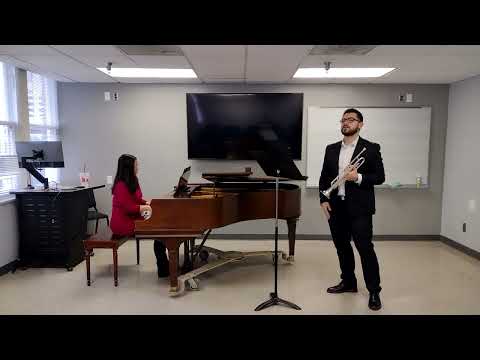 Vladimir Peskin - Concerto N.1 in C minor - 1st mov.