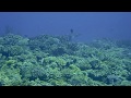 Scuba Diving In The South With RAD Okinawa 沖縄南部糸満ダイビング