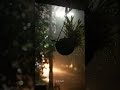 Rain Rain Mazha Status Malayalamstatus